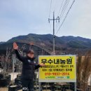 지실농원 | 파이코인 100%로 열대식물 / 희귀식물 구매 후기