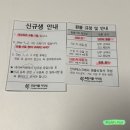 10년타기조원점 | 프린서플 어학원 ☀️영포자 모닝 델타반 후기 | 6월 등록 같이하실 분?