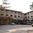 호수동물병원 이미지