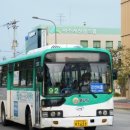 신일운수 네이버블로그