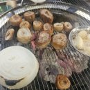 맛,가격,서비스가 좋은 착한막창 | 대전 봉명동 고기집 신대구막창 가성비좋은 막창 갈매기살 후기