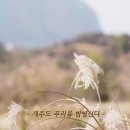 20주년 사즐모제주전국모임 댄스&amp;투어 11월13일(금) ~15일(일) 열립니다. 잊지 못할 추억의 향연에 회원님을 주인공으로 모십니다. 이미지