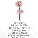 강현태권도 네이버블로그