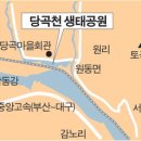 당곡천 이미지