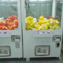 뽀바랜드 이미지