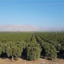 중간말농장 이미지