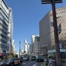 Monterey17 Hotel | [내돈내산] 호텔 몬토레 그라스미아 오사카 후기 l 일본 오사카 난바역 근처 숙소 추천 l 오사카 야경...