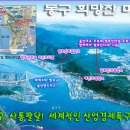 동구, 사통팔달 교통 세계적인 산업경제특구로! 울산대교 2014년 완공! [최신 상세 조감도] 이미지