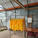 하얀 목장 | 제주도 애월 가볼만한곳 놀면뭐하니 도치돌알파카목장 펜션 할인 후기