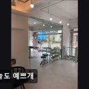 더 예쁘개 | (수원, 강아지, 고양이, 애견미용, 추천!) 오늘도 예쁘개 수원 강아지 미용의 신뢰도