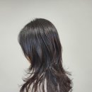 모우헤어