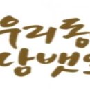 천연우리담뱃잎