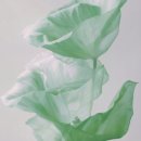 마음 힐링을 위한 수채화 이미지