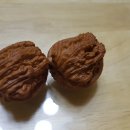 귀족호도 이미지