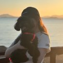 멍빌리지펜션 이미지