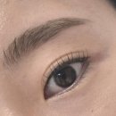 가수원로-5 | 관저동속눈썹펌추천 유브로우 솔직후기