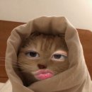 여의도중학교 | JLPT N2 | 2025 1회, 여의도중학교 시험 후기