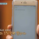 욜로 - 구미시 | 욜로