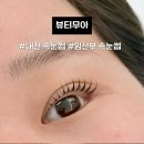 예가토탈인테리어 - 거제시 양정4길 2 | 대전속눈썹 임산부도 편안했던 지족동 뷰티무아 속눈썹펌 후기