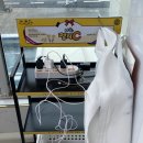 [제주] 성산일출봉 횟집, 아시횟집에서 고등어회 갈치회 딱새우회까지!