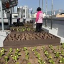 상계9동주민센터 이미지