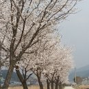 베어스 타운 이미지