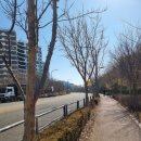 덕영대로1246번길 이미지