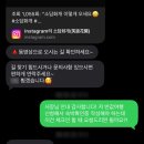 소담화개
