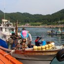 다시와요민박 이미지