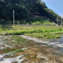 함안 용산리 함안층 새발자국화석 산지 이미지