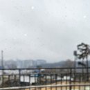 새로운 뷰티 | ☕ 스타벅스 일상 &amp; 뷰티 인사이트: 새로운 뷰티 디바이스 스터디 후기! ✨