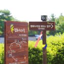 한잔먹세 이미지