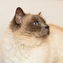 비타민동물병원 이미지