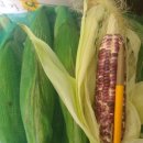 남구-038 이미지