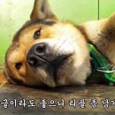 허브모텔 이미지