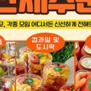 메가후르츠 이미지