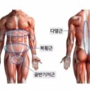 믹스짐필라테스