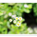스테이415