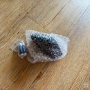 3163 | 내돈내산 중고노트북 : 삼성노트북 플러스2 NT551XDA i5 윈도우11 &amp; 코시 버티컬 컴피 무선마우스 M3163WL