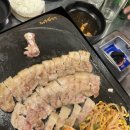 불도야지 이미지