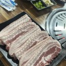 행복한 돼지 세끼
