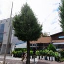 변지원치과의원 이미지