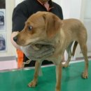 호정약국 이미지