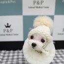 피엔피PC 이미지