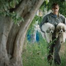 꿈의농장 이미지