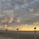 씨엘로호텔(Cielo Hotel) | 🏖️ 추석연휴 서울근교 호캉스 추천 :: 오이도 여행 &amp; 호텔 시엘로 내돈내산후기