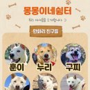 몽이네쉼터 이미지