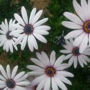 명성실업 이미지