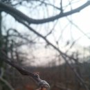 선바위농원 이미지