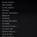 현진미트